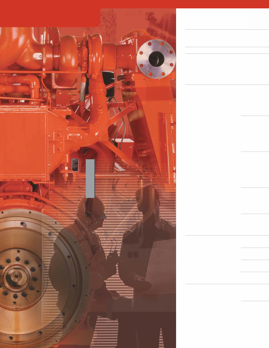 Waukesha Engine Power Ratings preview img 8