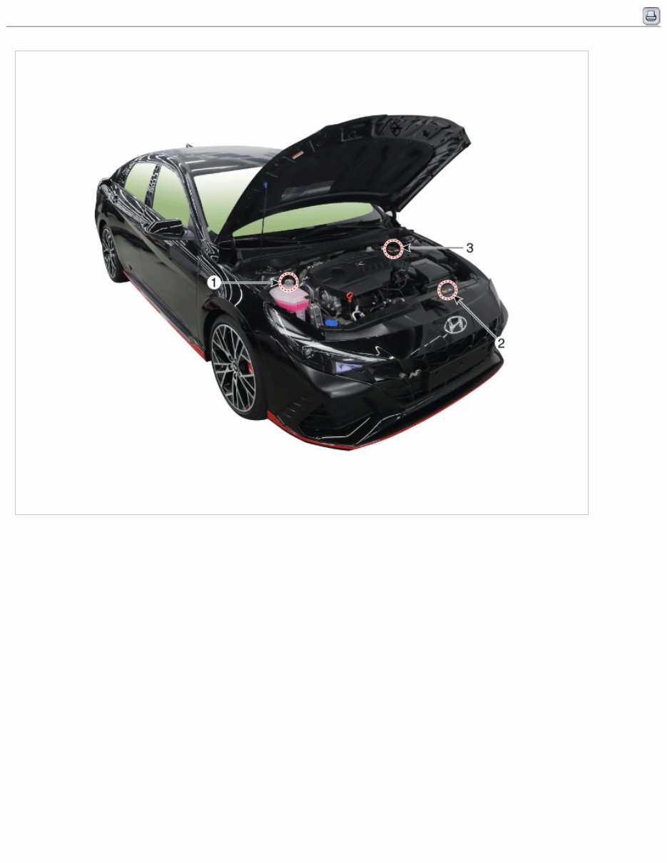 2022 Hyundai ELANTRA N (CN7 N) G 2.0 T-GDI THETA II Service & Repair Manual preview img 6