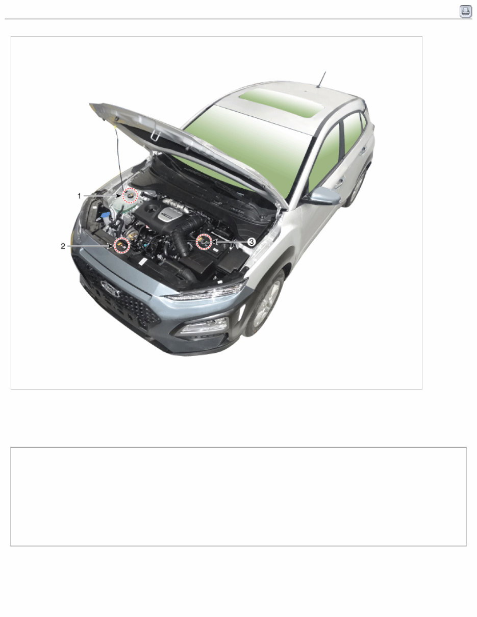 2023 Hyundai KONA N (OS N) G 2.0 T-GDI THETA II Service & Repair Manual preview img 5