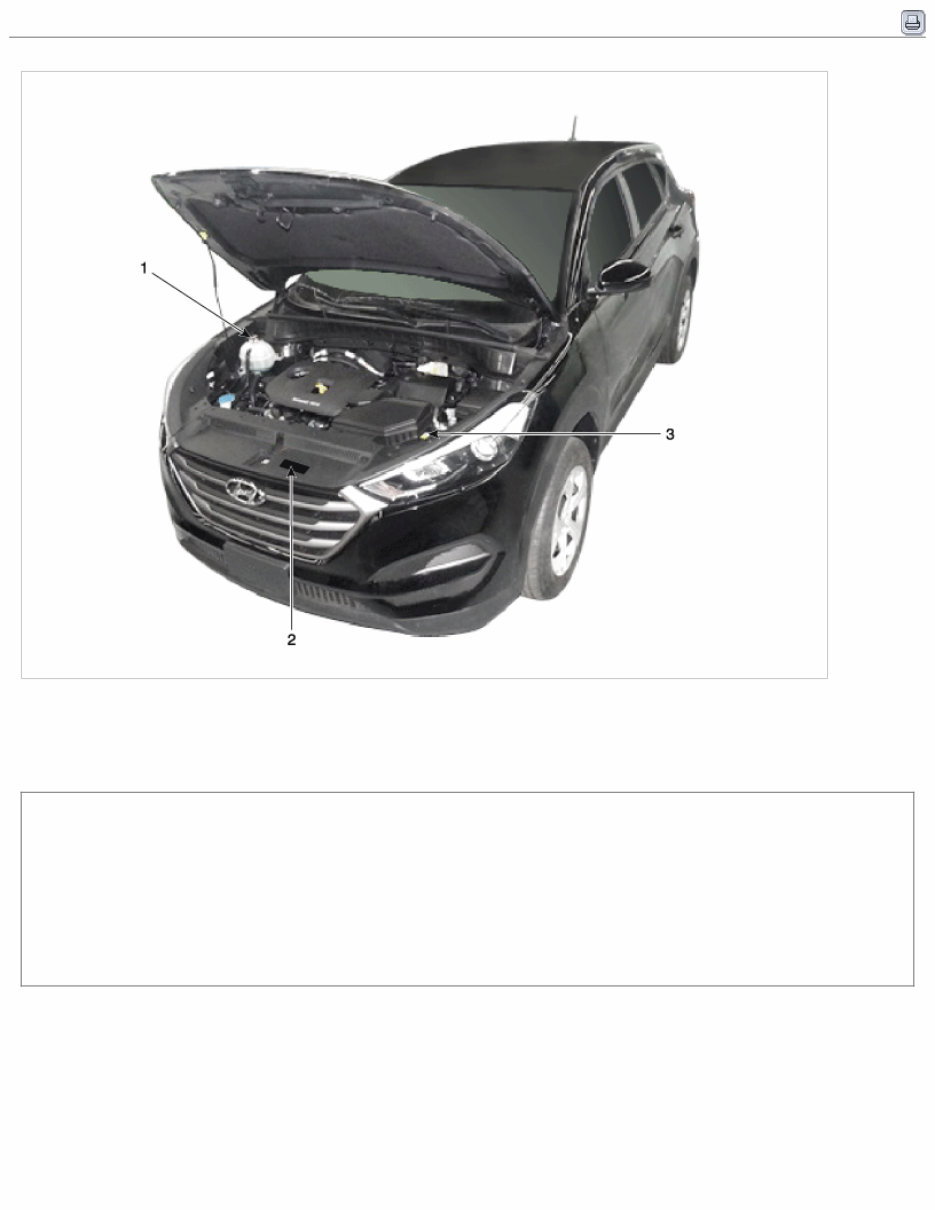 2016 Hyundai TUCSON (TL) G 2.0 GDI Service & Repair Manual preview img 8