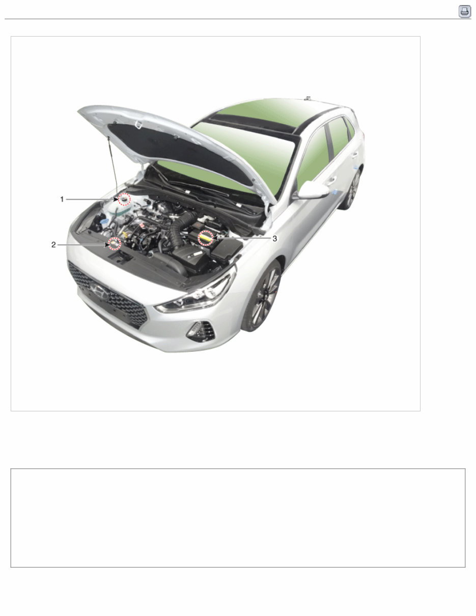2022 Hyundai VELOSTER N (JSN) G 2.0 T-GDI Service & Repair Manual preview img 6
