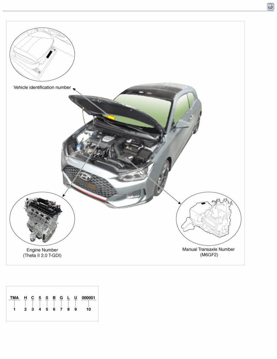 2019 Hyundai VELOSTER N (JSN) G 2.0 T-GDI Service & Repair Manual preview img 2