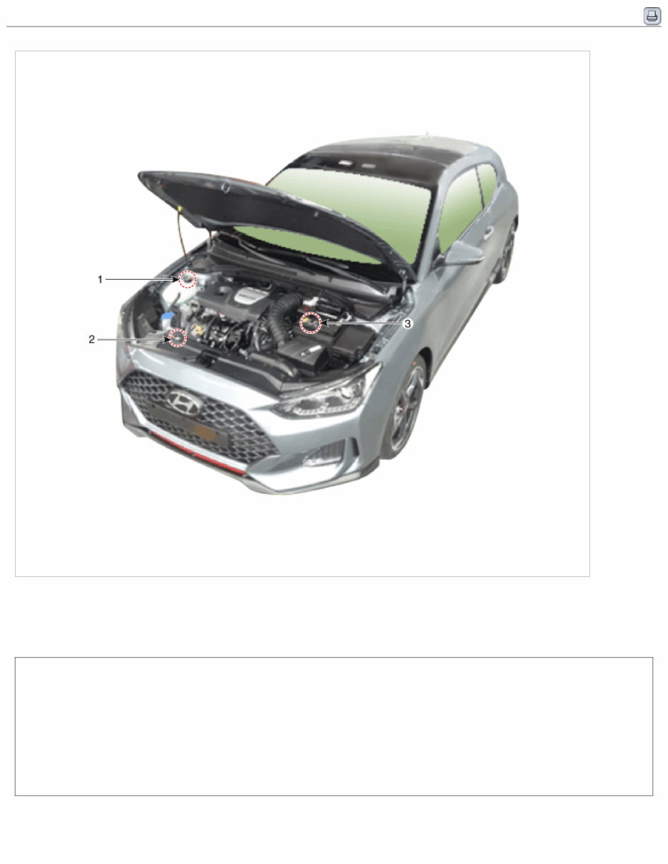 2020 Hyundai VELOSTER (JS) G 1.6 T-GDI Service & Repair Manual preview img 8